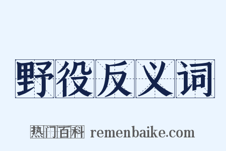 野役反义词是什么意思的图片